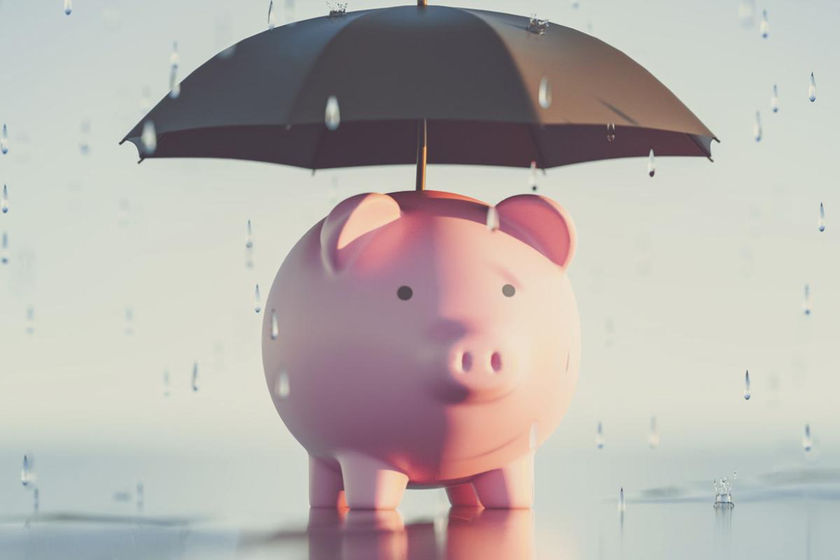 Piggy bank under umbrella