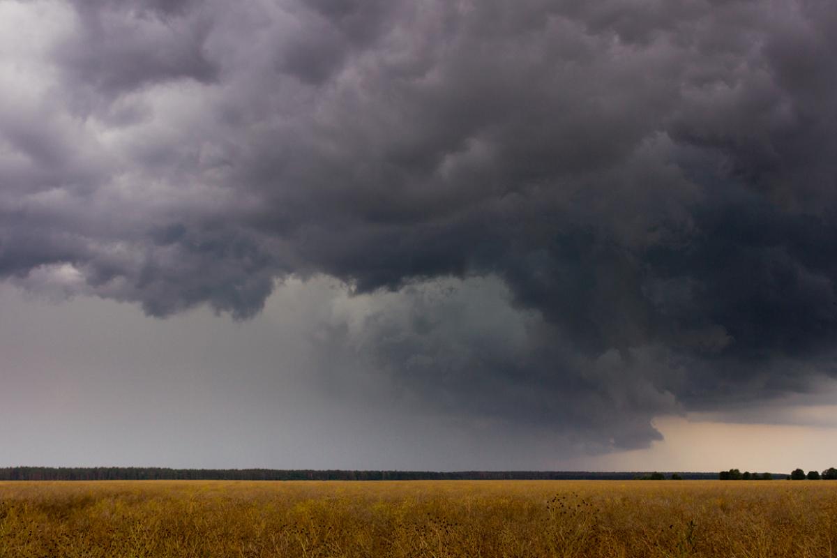Storm clouds develop over a country field.