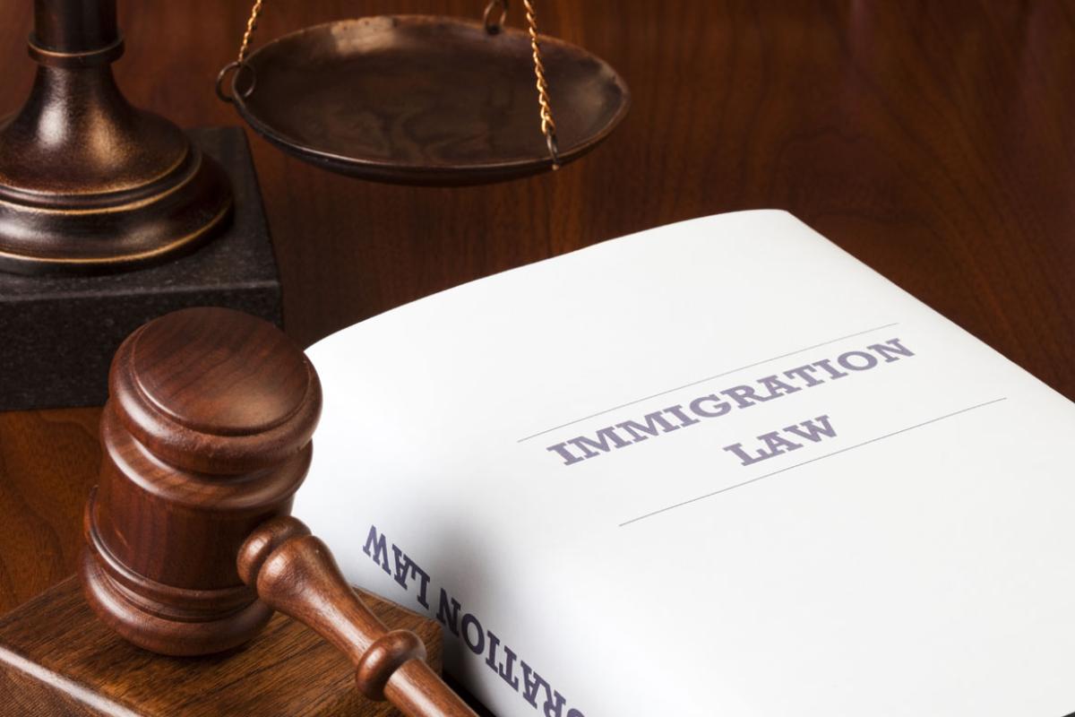 Gavel resting next to immigration law book. 