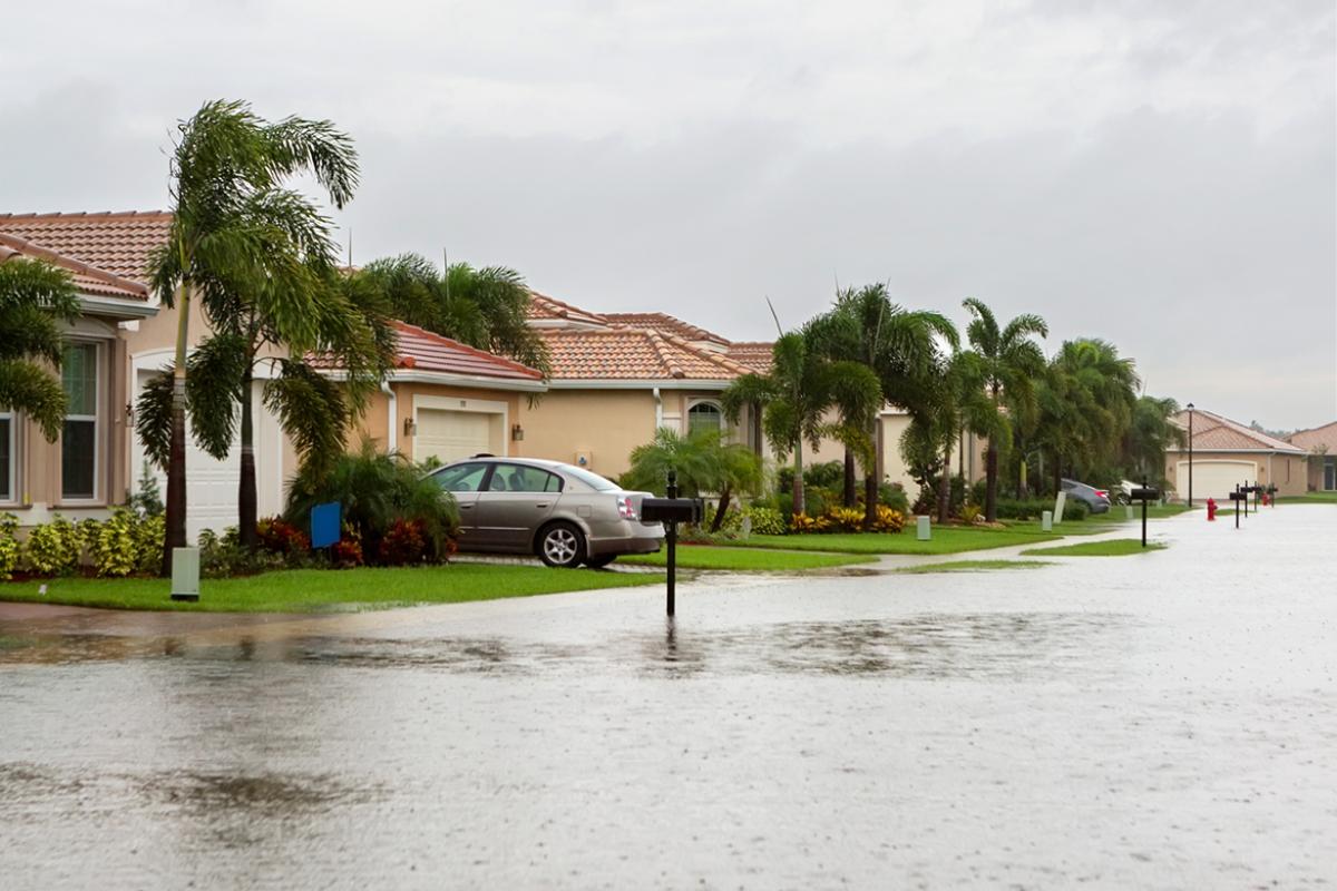 Flooded coastal street. 