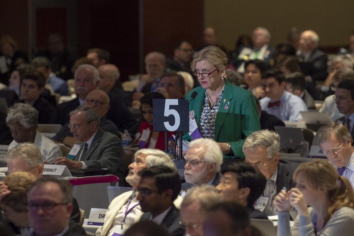 2018 AMA Annual Meeting
