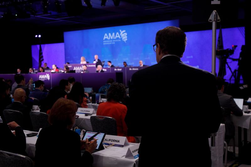 Reference Committee at the 2024 Annual Meeting of the HOD
